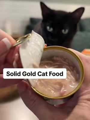 My cats love Solid Gold cat food. You can visually see how good it is. I think it’s worth the price for the quality you get. #catfood #catmom #catlover #catsoftiktok #catproducts 