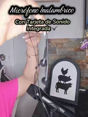 #microfonosinalambricos  #tarjetadesonidointegrada  #tiktokshop  #microphone 