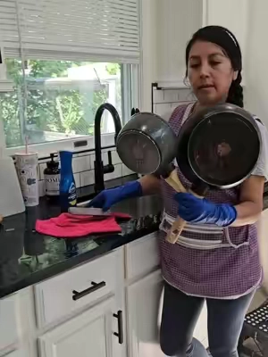 Respuesta a @marisolbast No confunda la piedra pomez de limpieza con la de uso personal 20 Pack Pumice Stone for Toilet  #limpiezadecasa #housekeeping #tiktokshopsummersale #cleaningtiktok #tips 