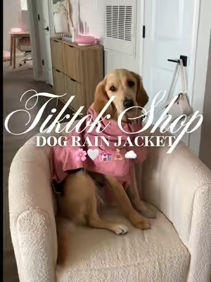 Dog rain jacket 🌸🤍💒🧘🏼‍♀️☁️#fyp #dograinjacket #dogclothing #dogclothes #dogaccessories 