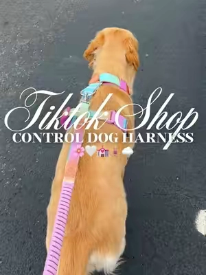 Control dog harness 🌸🤍💒🧘🏼‍♀️☁️#fyp #dogharness #dogwalk #nopulldogharness #nopullharness 