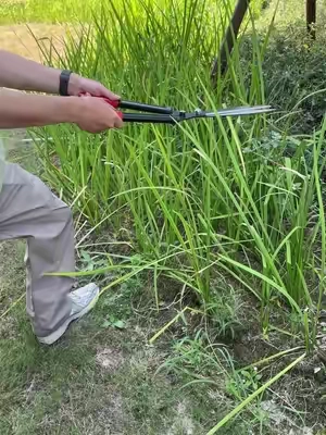 Gardening is supposed to be relaxing not a workout for your joints #GardeningTips #Cozy #Garden#RIFPOD #TikTokShopDealsForYouDays 
