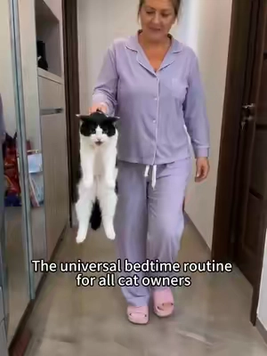 #catlover #catsoftiktok #DealsForYouDays #cathealth #catmom 