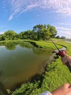 The best budget reel ever made! @KastKing Gear  #tiktokshopcreatorpicks #fishing #tiktokshopsummersale #baitcaster #kastkingusa 