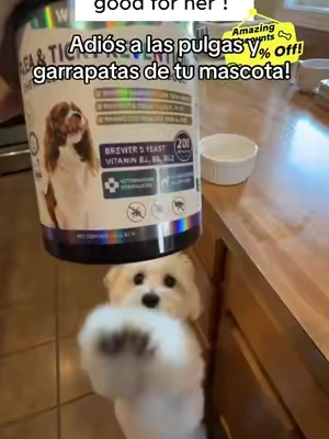 #chewsfordogs @woyamay.pets.official  Adiós Pulgas y Garrapatas: Solución para tu Mascota Despídete de las pulgas y garrapatas que afectan a tu mascota. 'Chews for Dogs' ofrece una solución efectiva para el bienestar de tu perro. Mantén a tu compañero libre de estos parásitos y asegúrate de su salud. #fleaprevention #fleaandtickprevention #doghealth #dogmom Keywords: adiós pulgas y garrapatas, cuidado de mascotas, solución antipulgas para perros, tratamiento garrapatas mascotas, chews for dogs Dog Flea & Tick Support Soft Chews - Natural Oral Supplement - Suitable for All Breeds & Sizes - 200 Chicken Treats 