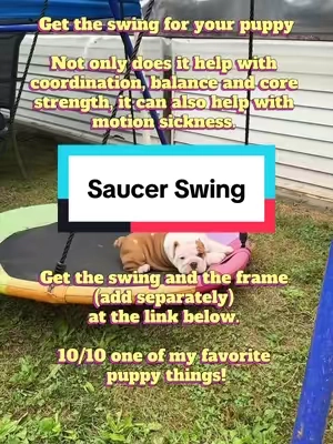 Get the swing for your puppy Not only does it help with  coordination, balance and core  strength, it can also help with  motion sickness.  Get the swing and the frame  (add separately)  at the link below.  10/10 one of my favorite  puppy things!