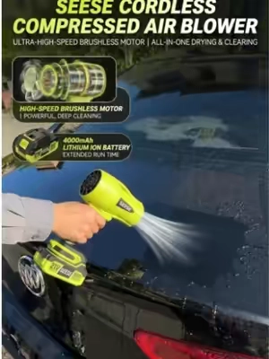 No towel.No water spots!#tiktokshopsummersale #blower #carowners #fan #detailing 
