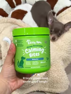 & that’s a wrap boysss 💤💤💤 @Zesty Paws #dog #dogmom #doghacks 