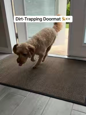 This is actually pretty smart... #doormat #doormats #homeessentials #CleanTok #TikTokShopCreatorPicks 