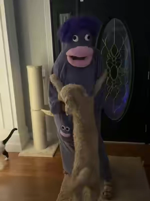 #halloweencostume 
