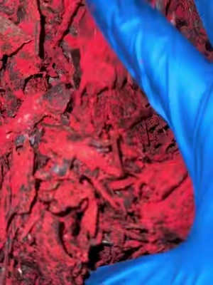 Blazing Hot Crumbs #elranchitojerky #fyp #carneseca #beefjerky 