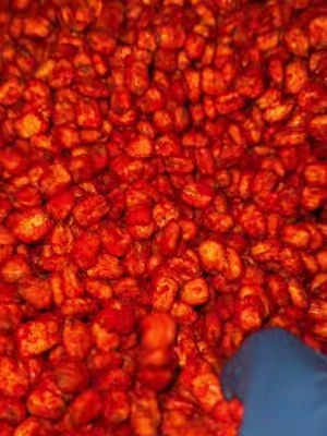 Corn Nuts  #elranchitojerky #fyp #carneseca #beefjerky 