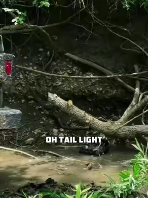 POV: You think you’ve picked the perfect line… then the creek proves you wrong. 😂 The mud under the water grabbed the Jeep, slid it into a tree, and launched the taillight into the creek. After fishing the taillight out (yes, with a water snake swimming by 🐍), it was time to pull the Jeep out using the RHINOUSA Synthetic Winch Line. Nobody gets better at off-roading by pretending they’re an expert. Sometimes you earn experience one bad line at a time. 🤘 What’s a trail mistake that taught you something? 👇 #BattleTested #RHINOUSA #OffRoadTok #WinchRecovery #TrailLife
