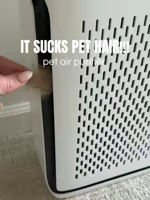 The Levoit air purifier is just what you need for pet hair... this pet air purifier is so good all dog owners need one 🤩 #levoitairpurifier #airpurifierrecommendation #airpurifier #petairpurifier #hepafilter