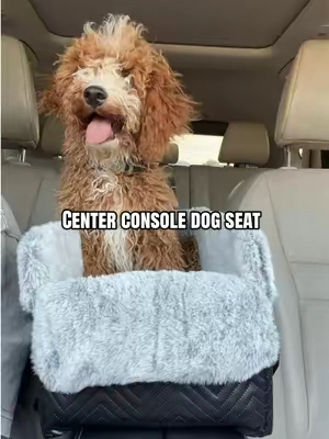HOW FREAKING PERFECT 😍 yes has a lease that attaches to collars. #dogmom #dogmomlife #dogtravel #dogbed #dogcarseat 