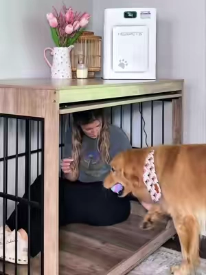 This is the 46” dog kennel but it comes in more sizes and even a double XL with a divider. This dog kennel is so sturdy and nice #petproducts #petowners #tiktokshopcreatorpicks #tiktokshopsummersale #dogkennel                     