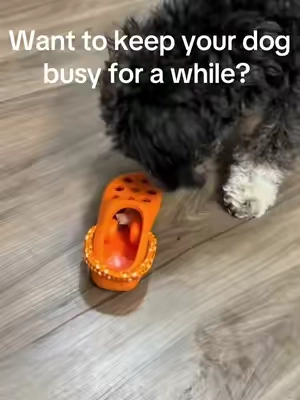 Thank you to whoever thought of this. We love it #dogtoys #dogtreats #dogtoy #dogsoftiktok #pettoys 