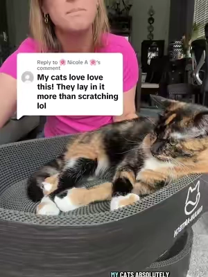 Replying to @🌸 Nicole A 🌸 mine too but they do scratch them also! #catscratcher #scratcher #scratcherbed #catfurniture #tiktokshopsummersale 