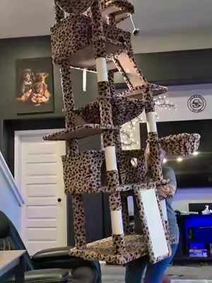 #cattower #cattowers #cattree #catstand #catfurniture