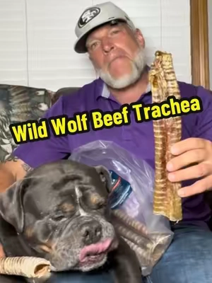 Dogs Go Crazy for these Chew Treats! Wild Wolf 10-12” Beef Trachea #naturaldogtreats, #dogchews, #dogtreats, #happydog, #tiktokshopsummersale 