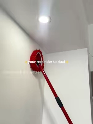 It’s time for you to dust #CleanTok #duster #chenille #Summerwins #dealsforyoudays 