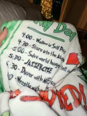 You have to admit..he’s a pretty cool guy that Mr. Grinch💚🎄 #grinch #christmasblanket #christmasvibes #mrgrinch #christmasdecor 