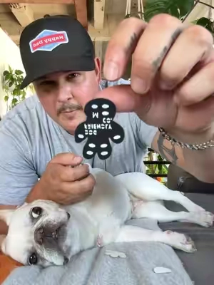 Protect their feet from hot pavement before it becomes a real problem. #hotpaws #pawprotection #dogsoftiktok #summeressentials #pawpatrol 