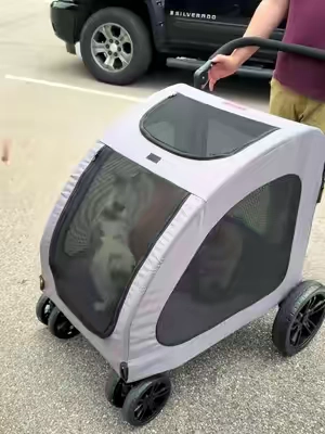 The best stroller for us crazy cat lovers 😻 #cats #catsoftiktok #catlover #cattok #PetsOfTikTok 