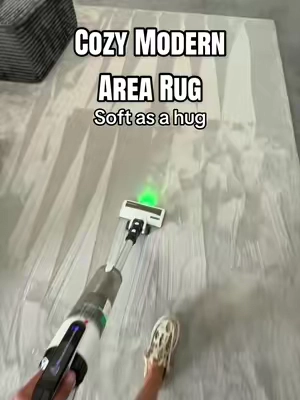 Soft, Modern, and Cozy Area Rug