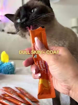 Less mess, no stinky oils and they love it @Zesty Paw #cattreats #omegaoil #cathealth #tiktokshopcreatorpicks #catessentials 