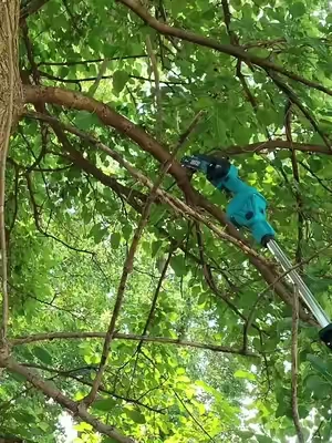 2-in-1 6 Inch Cordless Pole Saw, Telescopic Extension Pruning Chainsaw with Adjustable Chain Tension, Trimming branches, Gardening #CordlessChainsaw #TelescopicChainsaw #summerwins #TikTokShopSummerSale  #tiktokshopcreatorspicks 