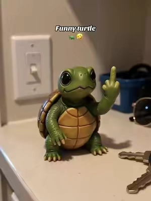 So lovely ☺️ 😍🤣 #3dfunny #turtle #mini #animals #tiktokmademebuyit 