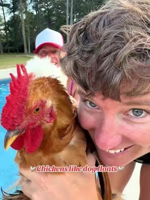Just when you thought a dog float was just for dogs….  WRONGGGG 😂😂😂😂 Chickens 🐔 🐓 🐔 🐓 like to chill in the float too 🤭 Disclaimer: for all the _arens with capital K , NO CHICKENS WERE HURT in the making of this video!!  #float #pooltime #relaxingvideos #chickensoftiktok #comedy  @ali_burgess @Dono4pet 