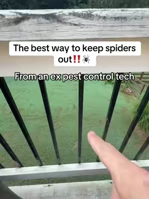 Get this now, so the spiders don’t come inside #tiktokshopsummersale #SummerVibes #bugs #spiders #pestcontrol