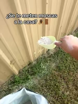 Si estás cansado de abrir la puerta de tu casa y que las moscas sean las primeras en meterse, esta es la forma más limpia y natural que nos ha ayudado muchísimo este verano. 🪰🪰 Crea una barrera física de protección en tu entrada sin usar venenos químicos dañinos para tus mascotas.  #firstsaturlime #bichosencasa #trucosdelhogar #proteccionnatural #tiktokshopusa 