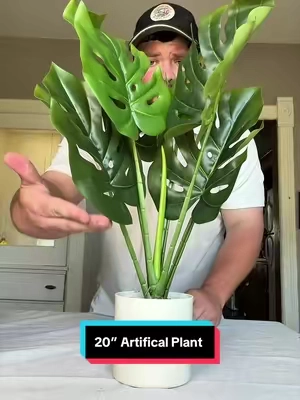 Fake plants all the way! #plants #fakeplant #homedecor #homeessentials #homedesign 