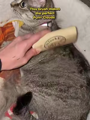 7668454524478164254