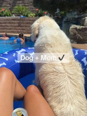 Hands down our favorite dog accessory of the summer. And it ain’t over yet. #dogaccessories #dogpoolfloat #dogmom #dogfinds #doglover  