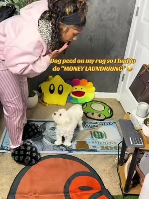 Dog peed on my rug so I had to do some “MONEY LAUNDRRING” 🤣 #rug #money #rugsoftiktok #rugtok #fyp @AISOON OFFICIAL 