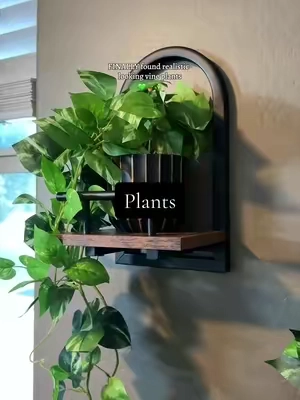 everyone needs a touch of greenery 👏🏼🪴 #artificialplants #homedecor #decorideas #fakeplant #greenery 