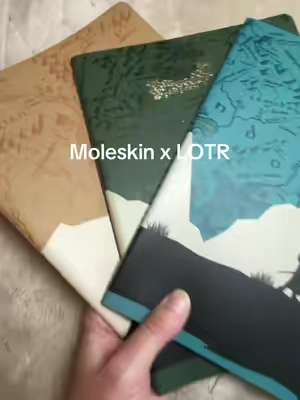 Would make a perfect gift for the LOTR fan in your life 💙 #moleskine #moleskinejournal #lotrtok #writingjournal @Moleskine 