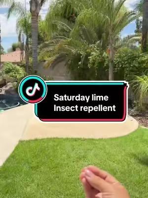 Dile adios a los insectos Que no quiere es tu casa! #insectrepellent #summertings #summertip #repelentenatural #repelentedemosquitos 