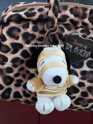 I need to buy the rest of the blind boxes so I can collect them all 😍 #snoopy #halloweensnoopy #spookyseason #halloween #snoppyfinds 