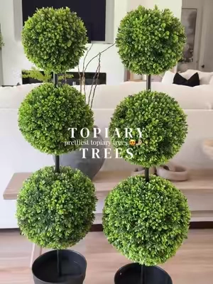 The prettiest topiary boxwood trees for a fraction of the price 😍 #topiarytree #boxwoodtrees #outdoordecor #patiodecor #falldealsforyou 