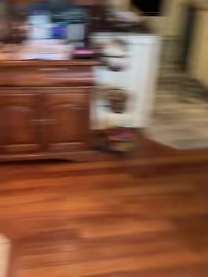 #dog #dogbarking #DogTraining #pets #TikTokShopCreatorPicks 
