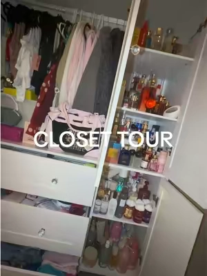 Replying to @janelly fits soooo much of my inventory! #tiktokshopaffiliate #armoire #dreamcloset 