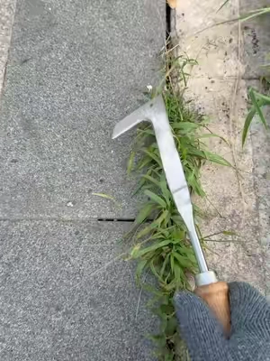 Do you still use butter knife,screwdriver and fire torch for this type grass in crevice? Check this All-in-One Weeding Warrior! Tame your home with ease. 🌿🛠️50% Off Limited Stock! Shop Now ❤️#GardeningHack #WeedingTool #MustHaveGadget #dealsforyoudays #SummerWins