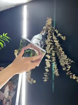 TikTok Made Me Buy This Shower Head 🚿#summervibes #bathroom #showerwithmoxie #ShowerHead #BathroomUpgrade 