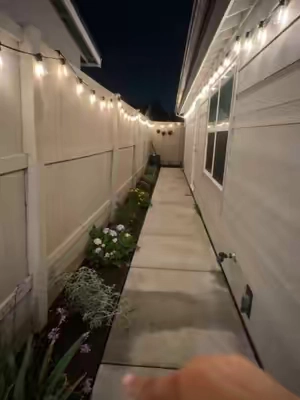 Sun powered string lights for the garden#outdoor #outdoorlighting  #cozyhome #night #backyard