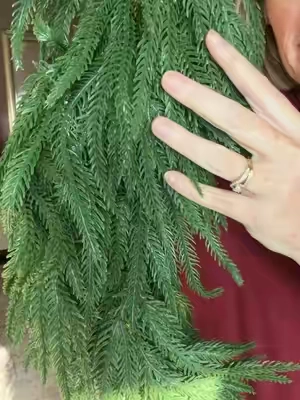 I love a good Christmas find #garland #christmasdecor #christmasgarland 
